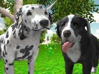 Canine Companion 3D Family Quest