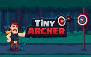 Tiny Archer: Precision Arcade Game
