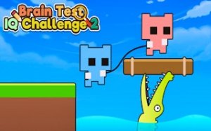 Puzzle IQ Challenge