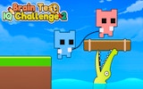 Brain Test IQ Challenge 2: Puzzle & Mind Games Online Puzzle Game