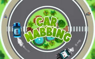 Car Nabbing Race: Police Chase Stunt Driving