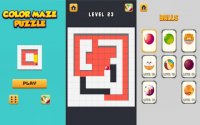 Color Maze Puzzle