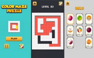 Color Maze Puzzle